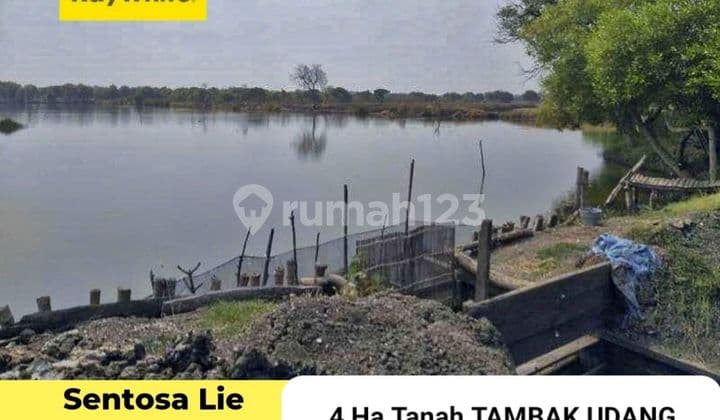 Dijual 4 Ha Tanah Tambak Udang di Bangil - PASURUAN - Jawa Timur - Surat SHM