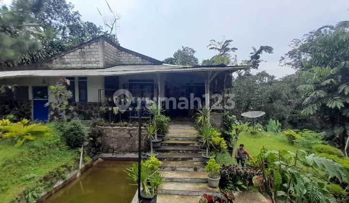 Jual Rumah Villa Di Ciawi Bogor Dekat Gunung Salak