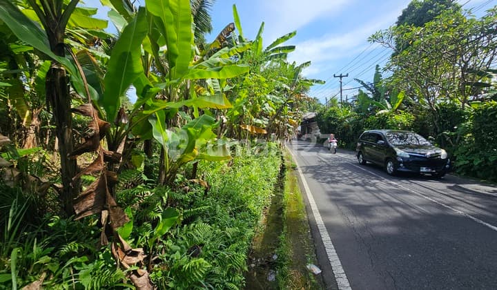 Tanah 35 Are di Raya Payangan Ubud