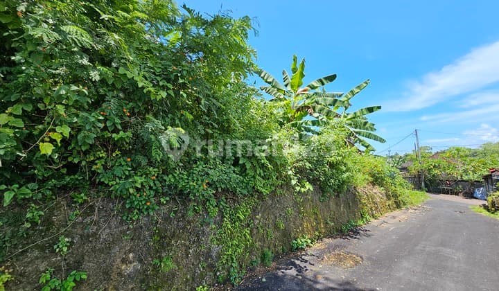 Tanah 2 Are cocok untuk Villa di Ungasan Jimbaran
