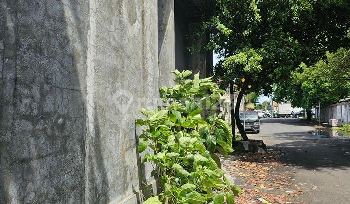 Multi-Functional Building Bonus Land at Cargo Ubung