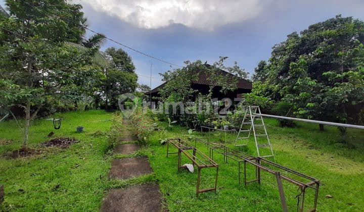 Dijual Rumah di Jl penebel biaung SHM Butuh Renovasi