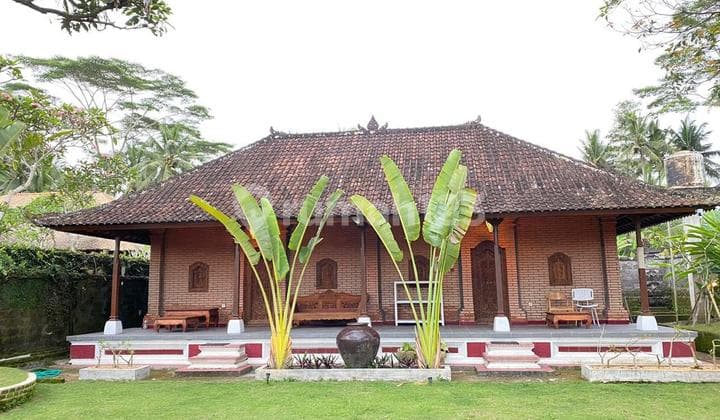 FOR SALE - Charming Semi-Villa Home in Pejeng, Gianyar
