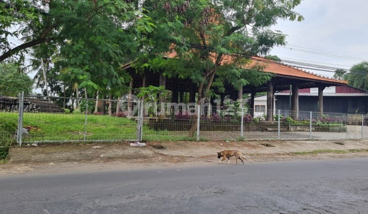 Dijual Tanah Bagus Jalan Utama area Munggu