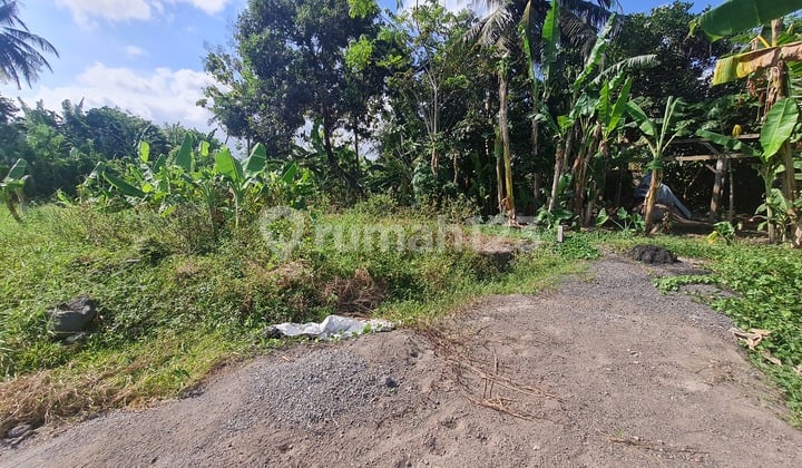 Dijual Tanah Kavling Bagus Area Kedungu Tabanan