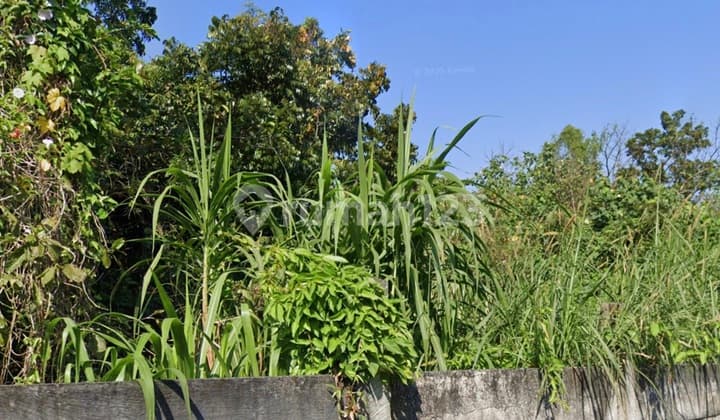 6 Hectares of Land in Semarang Suitable for Housing, Shophouses, Warehouses