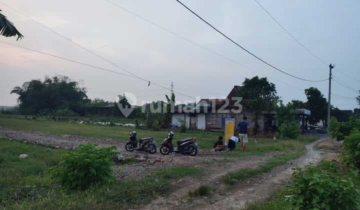 Kavling Siap Bangun Gedangan Tegowanu, Grobogan