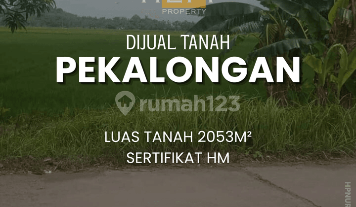 Dijual Tanah di Jalan Raya Sragi Kesesi Pekalongan