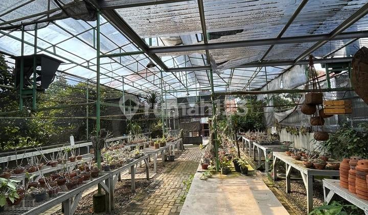 Dijual Tanah dan Tempat Usaha di Palebon Semarang Timur Dijual Tanah dan Tempat Usaha di Palebon Semarang Timur