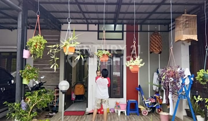 Rumah Sewa Murah Dekat Tol Ciperna Cirebon