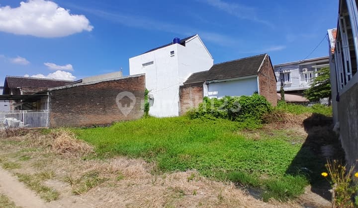 For sale.cheap.farmland.plot Central.farming