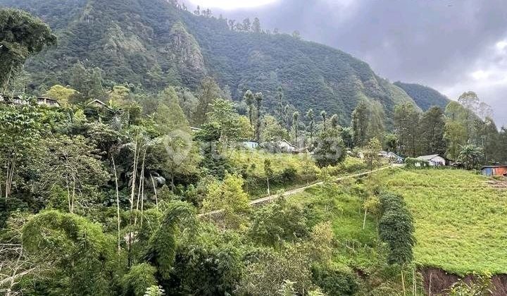 Dijual 2000 M2 Tanah Sapikerep - Sukapura - Probolinggo Jatim Dekat Wisata Gunung Bromo - Surat SHM - Cocok Buat Cafe,Resto,Segala Usaha