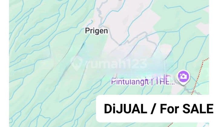 Dijual 2 Ha Tanah Prigen Pasuruan Jawa Timur Area Dayurejo - Strategis Cuma 23 Menit ke Cimory Prigen - Surat SHM