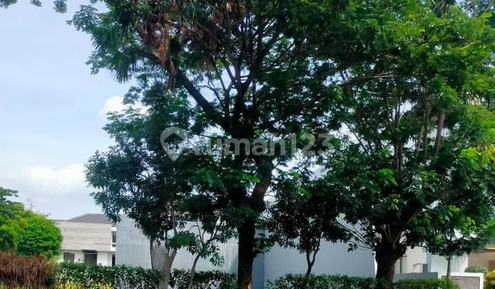 Tanah Lokasi Premium Strategis Raya Palm Beach Pakuwon City Surabaya