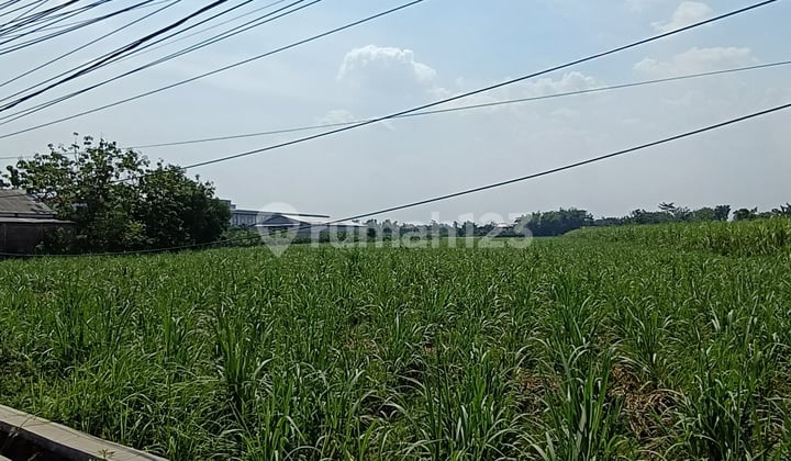 Lahan Strategis di Pinggir Jalan Provinsi Perak Jombang