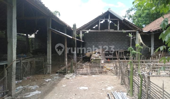 Lahan Luas Full Pagar dengan Kandang Ayam Petelur, Bebek & Kambing di Jogoroto Jombang