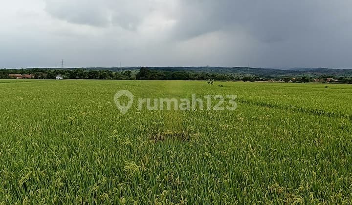 Tanah Industri Luas di Mojoagung Mojowarno Jombang