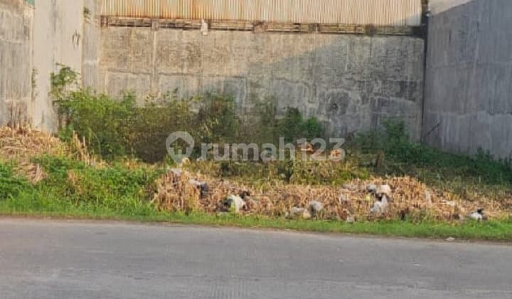 Tanah Jalan Angkasa Raya Area Pergudangan