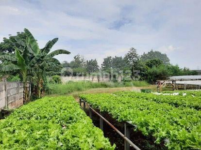 DIJUAL segera kavling di Pagedangan dekat ICE BSD Tangerang. DIJUAL segera kavling di Pagedangan dekat ICE BSD Tangerang.