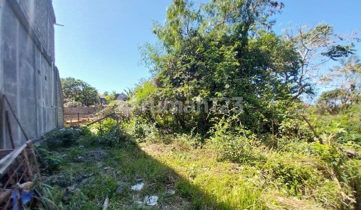 For Sale Beautiful Land Near Golf Pandawa Kutuh Bali (Smida)