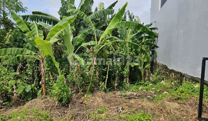 Di Jual Tanah Permium dan Laangka di Area Pantai Cemagi