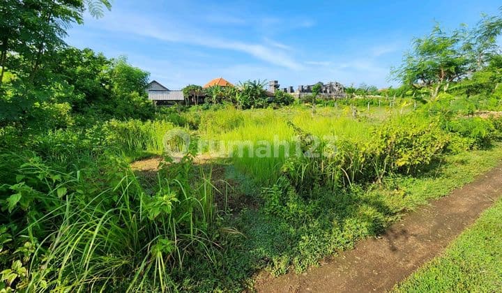 For Sale Beautiful Land On Jl Bali Harum South Kuta Bali