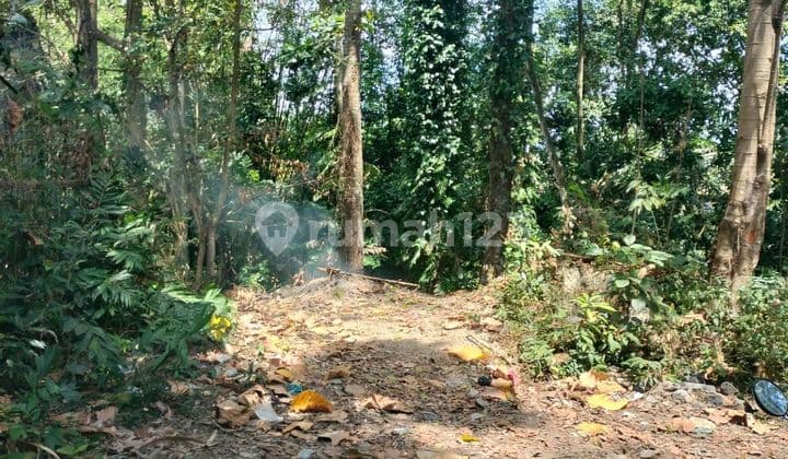Di Jual Tanah View Jungle Dan Sungai Lokasi Tumbak Bayuh Canggu