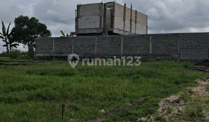 Tanah Permum dan Langka Canggu Area Nengah
