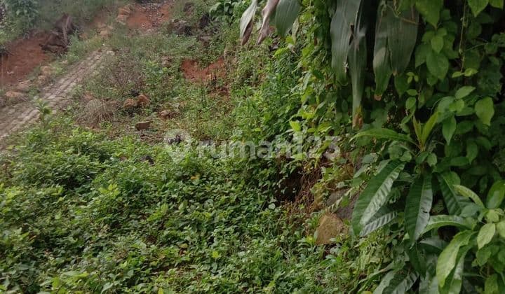 Kavling Rangkasbitung Lebak Banten