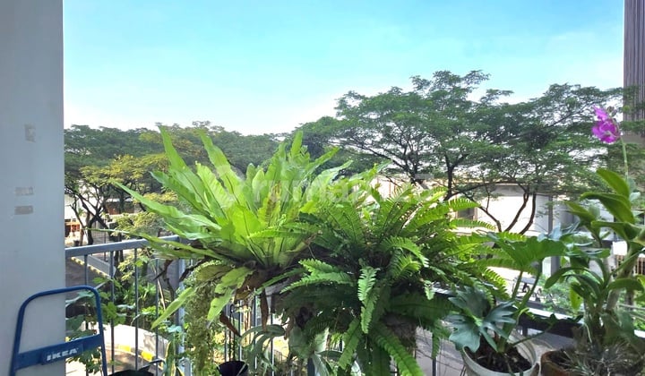 Loft Casa De Parco BSD