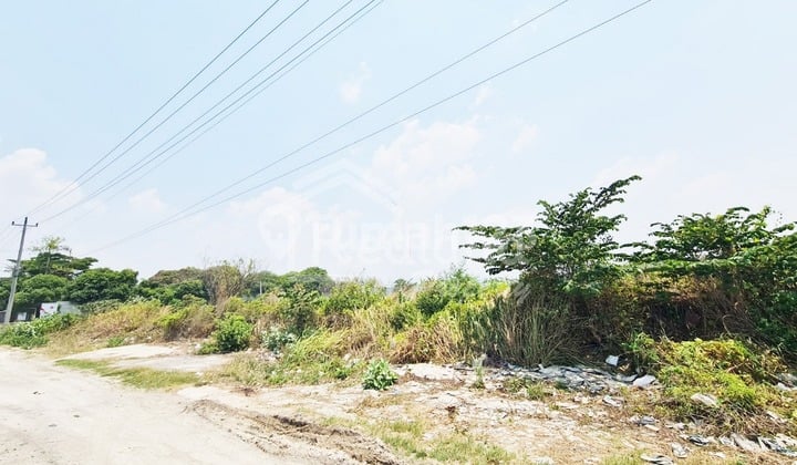Warehouse in Lingkar Kaliwungu, Kendal Vn Tt 5842