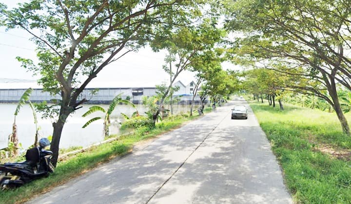 Tanah di Raya Onggorawe Sayung, Demak Tt 5877