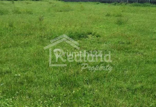 Tanah di Jl Mangesti , Sukoharjo Si Vn Tt 6669