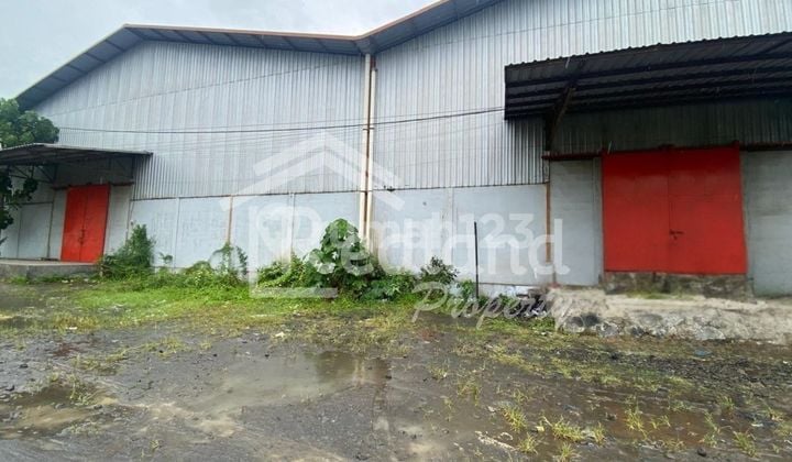 Gudang di Jl Raya Pemalang Pekalongan ( Tt Si 8431 )