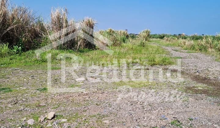 Land in the Cipta Guna Area, Semarang (Plot 7867)