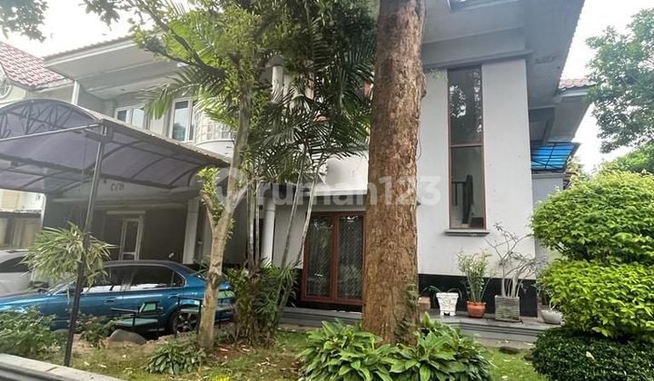 Dijual cepat rumah di Sutera Cemara, Alam Sutera.