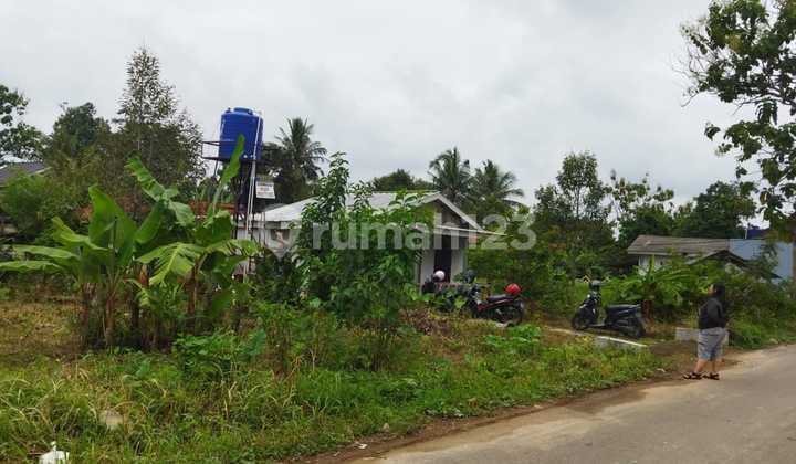 Disewakan tanah way kandis