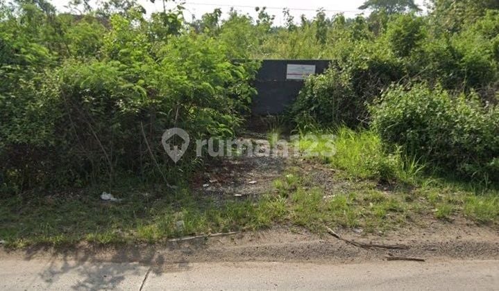 Land suitable for industry/warehouse on Jl. Lintas Tengah Sumatra 9852 SHM m²