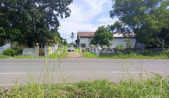 Tanah di Gunung Sugih HGB 36025.0 m²