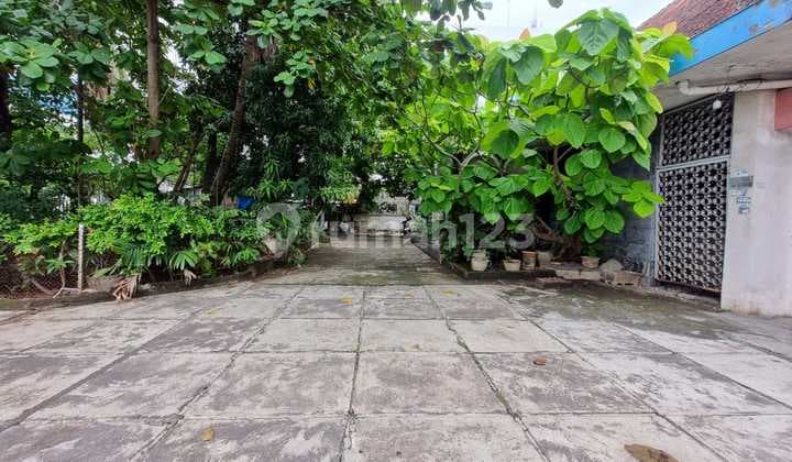 Disewakan rumah dihitung tanah di A Yani Simpanglima (12586-MRT)