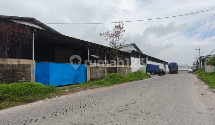 Surimulia Margomulyo Container Access 40" Flood-Free