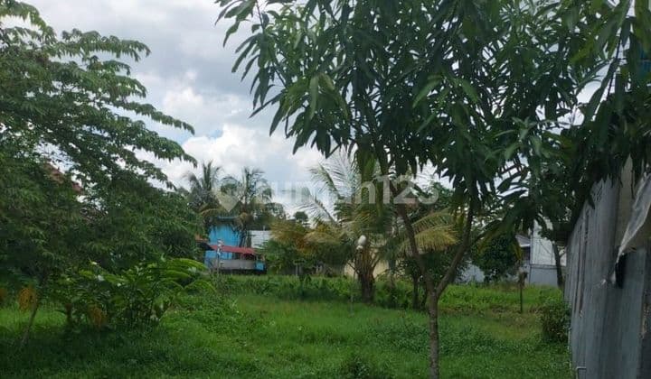 Tanah siap bangun cocok untuk bangun kost, kantor