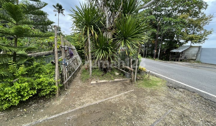 Tanah Strategis Di Jalan Raya Slamet, Bendan, Pekalongan