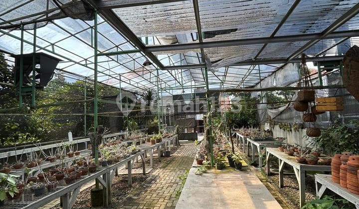 Tempat Usaha Cocok untuk Dibangun Kos di Palebon Semarang