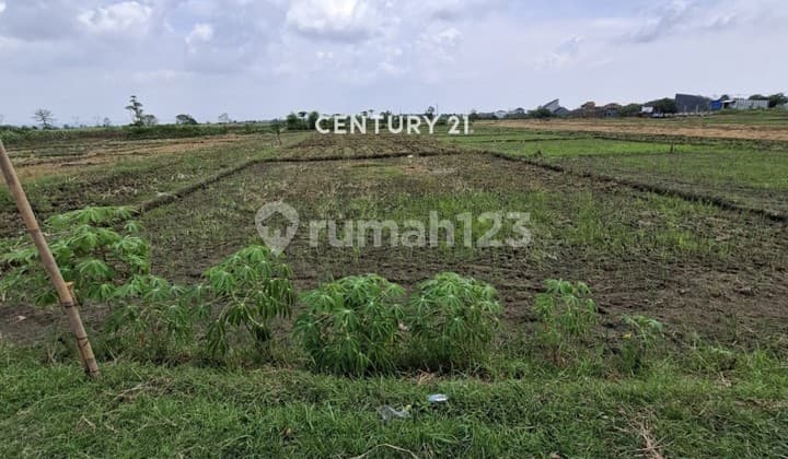 Tanah Kosong di Leuweung Gajah Ciledug Cirebon
