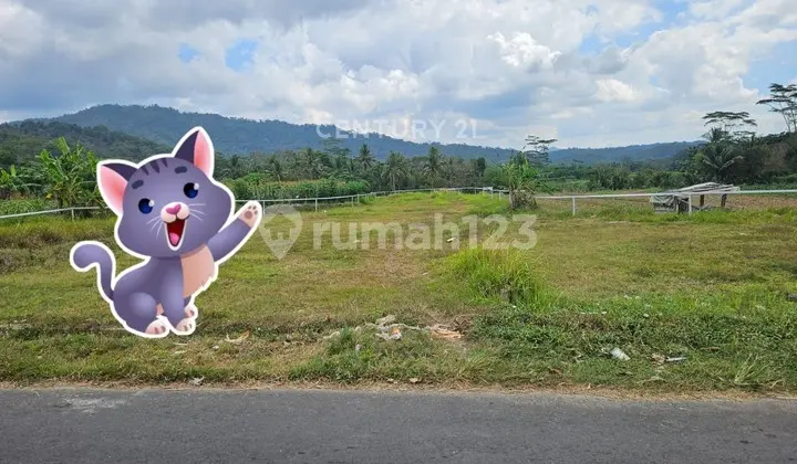 Tanah Lokasi Strategis di Desa Gunden Karanganyar Yogyakarta