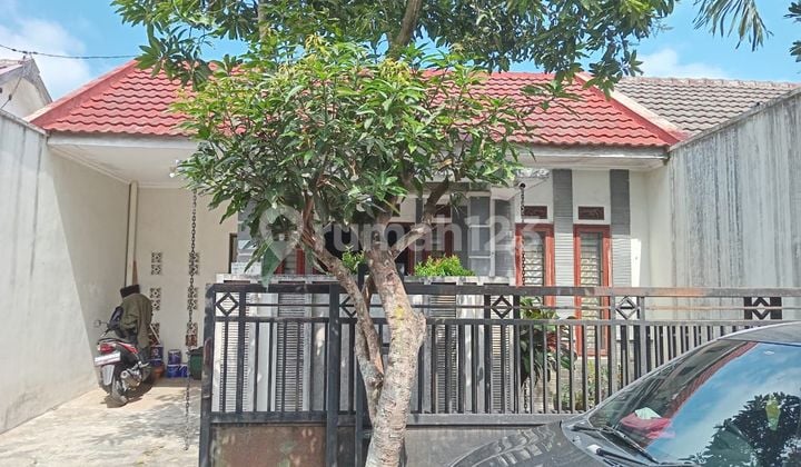 Rumah Bagus Legalitas Shm Di Bumiayu Kedungkandang