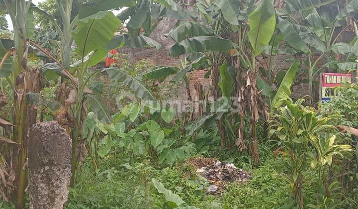 Bebas Banjir, Tanah, SHM, Cocok Dibangun Kos Kosan