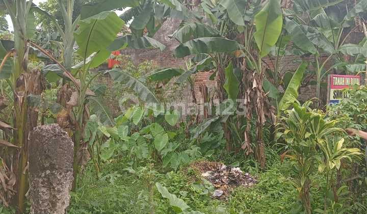 Bebas Banjir, Tanah, SHM, Cocok Dibangun Kos Kosan