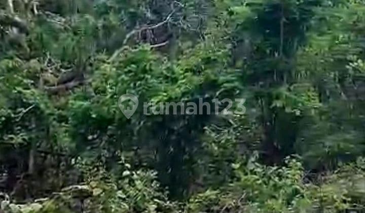 Land Jalan Labuan Sait Pecatu Badung Bali